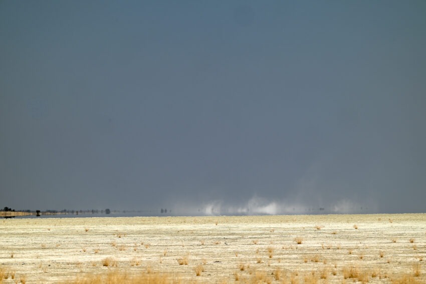 Etosha, Namibie 2026