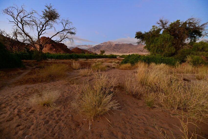 Brandberg ,Namibie 2026