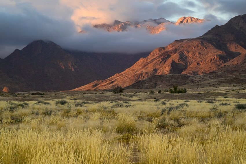 Brandberg , Namibie 2026
